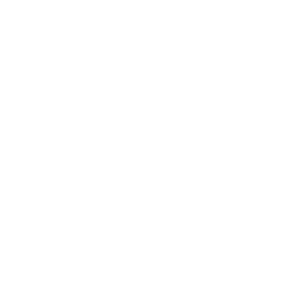 LinkedIn icon