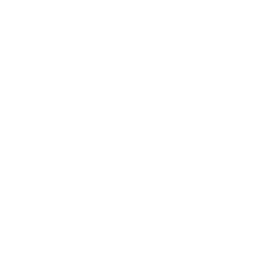 YouTube icon